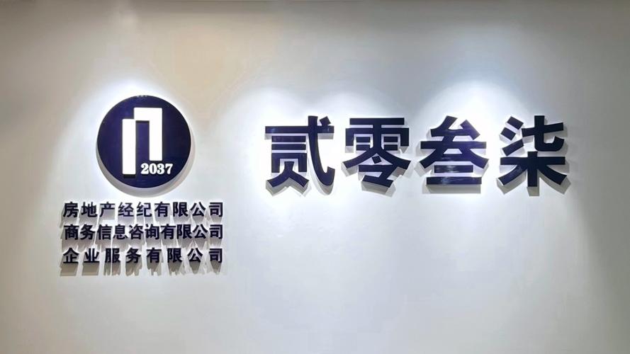 张书晗及其公司经营范围解析 信息咨询服务与信息技术咨询服务的深度解读